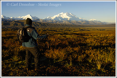 Hiking in front of the mountain, Mt. McKinley, Denali National Park, Alaska.