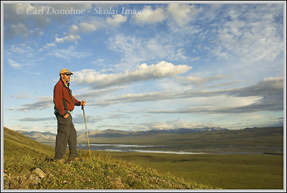 Hiker on the broad open coastal plain of arctic Alaska; ANWR, Alaska.