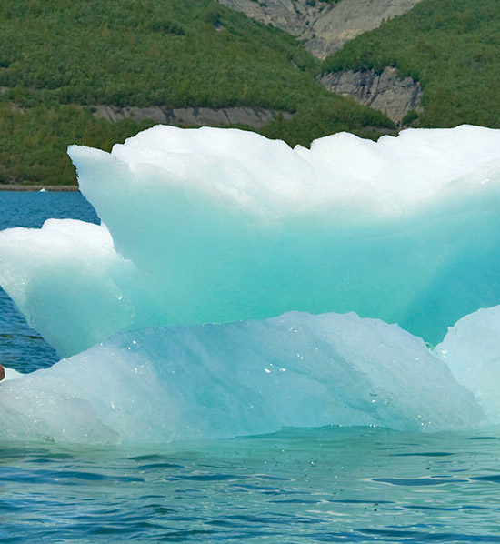 Alaska Sea Kayak Tours with Expeditions Alaska Icy Bay Alaska.