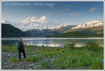 Hiker in Icy Bay, looking at Mt. St. Elias, sunset, Wrangell-St. Elias National Park, Alaska.