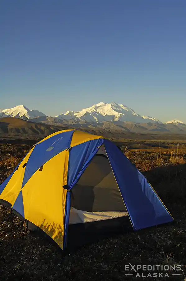 Camping on the tundra, Denali National Park and Preserve, Alaska.