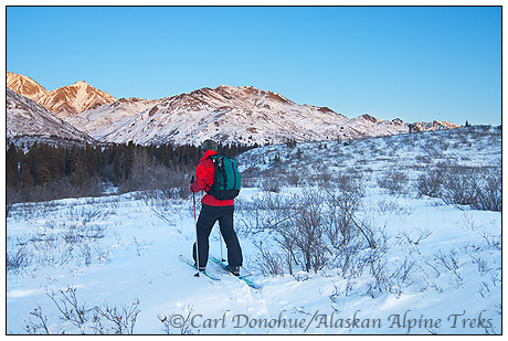 Backcountry cross country (XC) skiing in the Mentasta Mountains, Wrangell-St. Elias National Park and Preserve, Alaska.