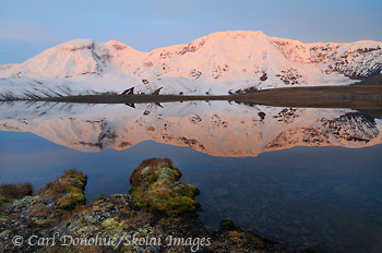 Wrangell-St. Elias National Park and Preserve is home to the Wrangell Mountains. Mt Jarvis, 13 421' high, stands east of Mt Wrangell, and catches the first light of the day. Early morning (pre-dawn) alpenglow reflection in a high alpine tarn, Wrangell-St. Elias National Park and Preserve, Alaska.