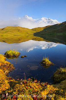 Dawn light on the Wrangell Mountains and reflection in an alpine tarn near Hidden Creek and the Lakina River, Wrangell-St. Elias National Park and Preserve, Alaska.