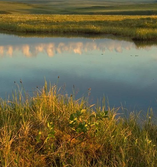 ANWR trips Canning Rievr coastal plain Arctic National Wildlife Refuge, Alaska.