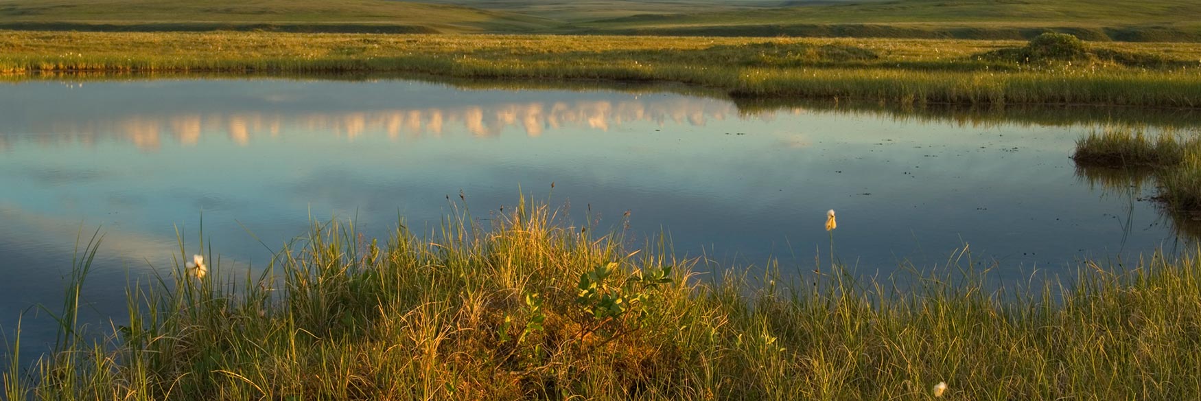 ANWR trips Canning Rievr coastal plain Arctic National Wildlife Refuge, Alaska.