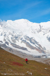 A hiker walking on the tundra beneath the towering Mt Blackburn, Wrangell-St. Elias National Park and Preserve, Alaska.