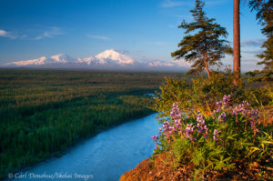 Copper River and Mt Drum, Wrangell-St. Elias National Park, Alaska.