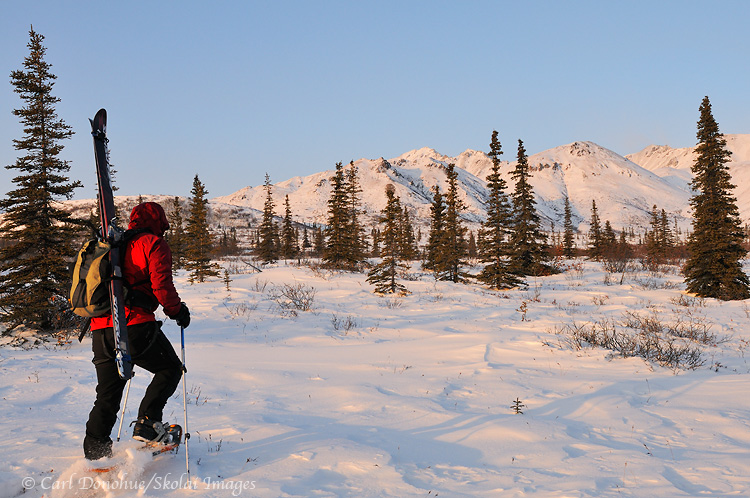 Snowshoeing trips, ski trips, Wrangell-St. Elias National Park, Alaska.