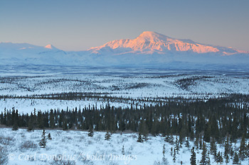 Mount Sanford, Copper River Basin, Wrangell St. Elias National Park, Alaska.