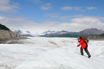 Nimble Bob hiking the Nizina Glacier, Wrangell St. Elias National Park, Alaska.