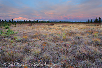 Mount Sanford at sunrise, Wrangell-St. Elias National Park and Preserve, Alaska.