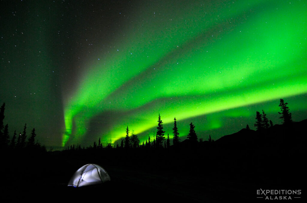 The aurora borealis (northern lights) light up the night sky above a tent. Campsite in the Mentasta Mountains, boreal forest, Wrangell-St. Elias National Park and Preserve, Alaska.