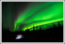 The aurora borealis (northern lights) light up the night sky above a tent. Campsite in the Mentasta Mountains, boreal forest, Wrangell - St. Elias National Park and Preserve, Alaska.