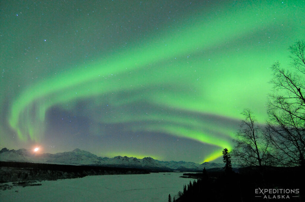 Northern lights over Mt. Denali, Denali National Park.