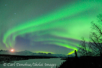 Aurora borealis lights up the winter night sky over Mt McKinley, highest mountain in North America, also called Denali. The Waxing Crescent Moon is setting just above the horizon of the Alaska Range.