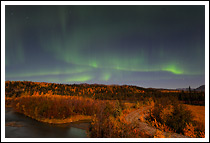 Fall colors and a moonlit night glow under the night sky. Aurora borealis, Alaska.