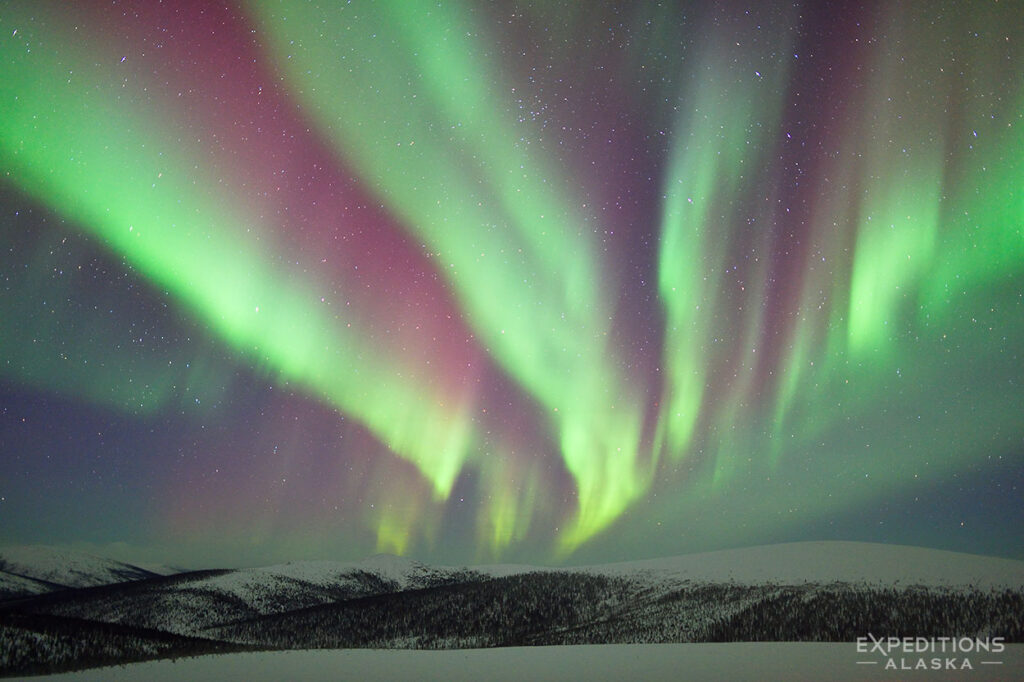 A full moon lights up the landscape, in full fall color glory, and the aurora borealis lights up the september sky in Alaska.