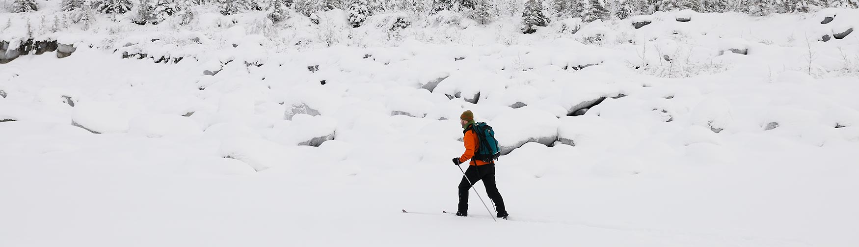 Snowshoeing and skiing trip Wrangell-St. Elias National Park, Alaska.