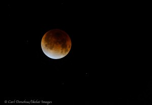 The moon glows in the difused light of a full lunar eclipse.
