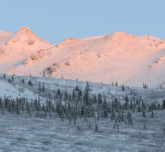 Alaska Range Denali National Park in winter, Alaska.