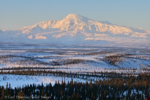 Mount Sanford and the Copper River Basin, seen from the Mentasta Mountains, winter, boreal forest, Wrangell - St. Elias National Park, Alaska.