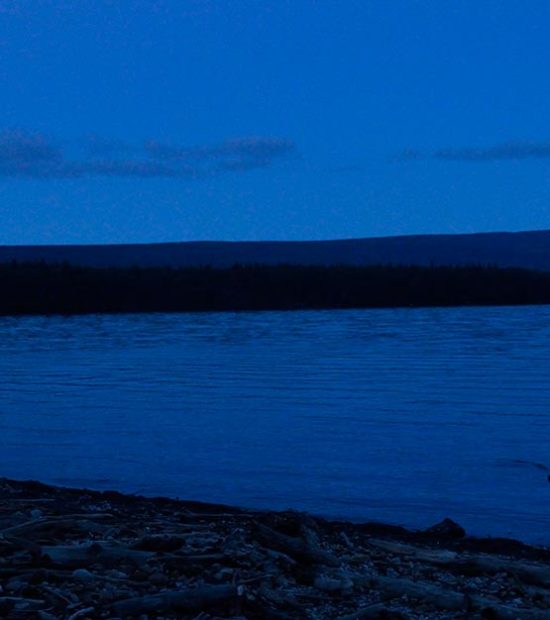 Katmai National Park Grizzly bear by moonlight, Alaska.