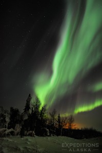 The aurora borealis streaks through the sky over the boreal forest of sub-arctic Alaska.