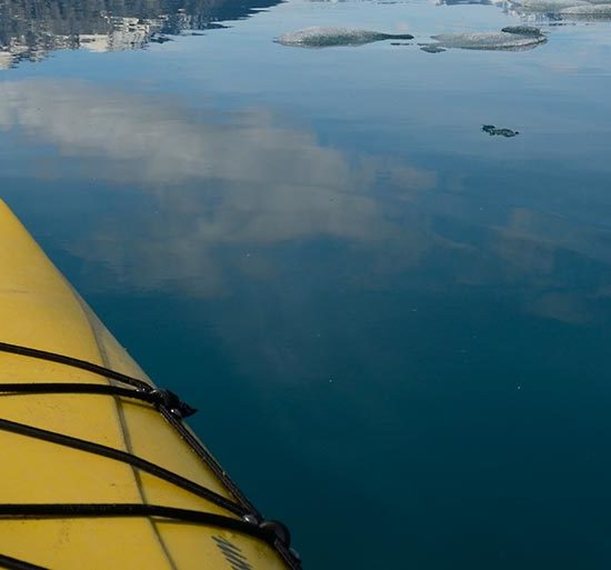 Alaska sea kayaking tours Icy Bay.