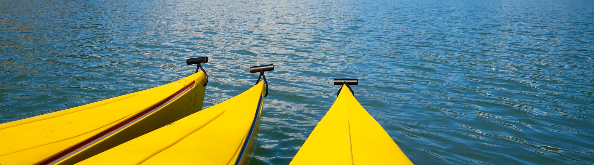 Alaska video sea kayaking icy Bay.
