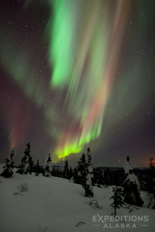 Northern lights in Alaska