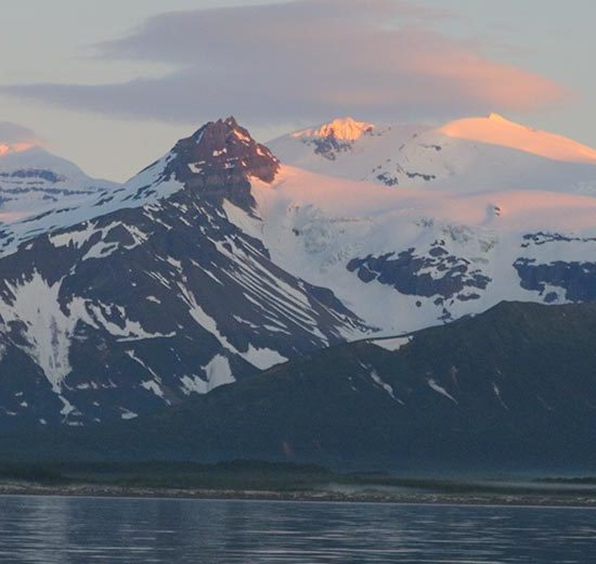 Alaska grizzly bear brown bear photography tours Katmai National Park, Alaska.