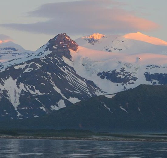 Alaska grizzly bear brown bear photography tours Katmai National Park, Alaska.