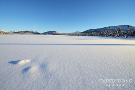 Winter in Wrangell-St. Elias National Park.