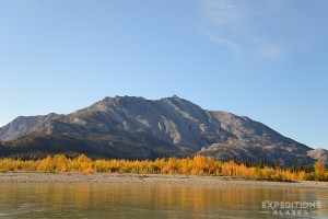 Fall colors, Alatna River, Gates of the Arctic National Park, Alaska.