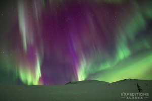 Aurora borealis in night sky, Alaska.