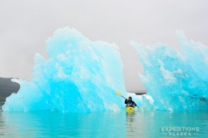 Sea kayaking with icebergs, Icy Bay, Wrangell - St. Elias National Park and Preserve, Alaska.