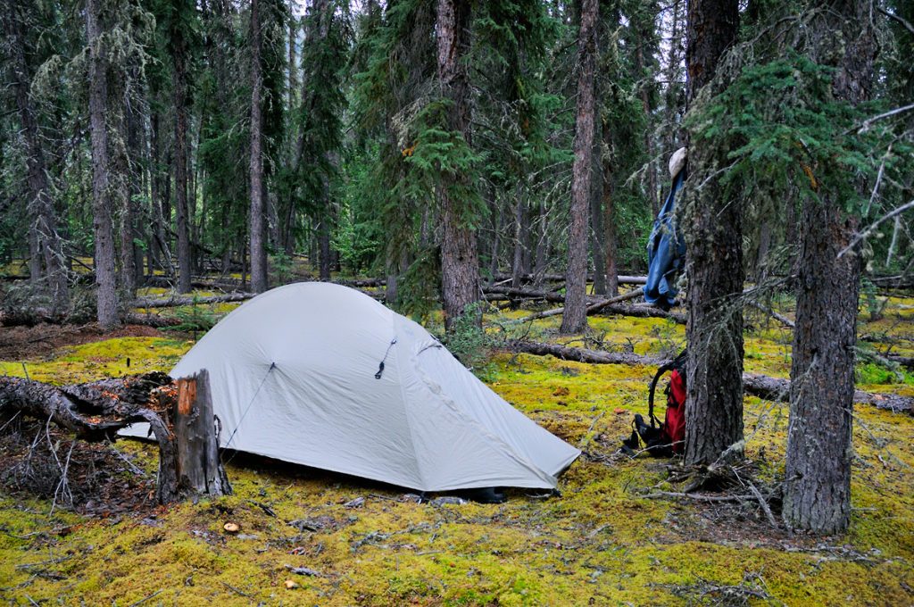 Backpacking trips Arrigetch Peaks Campsite in the forest, Arrigetch Peaks trip, Gates of the Arctic National Park.