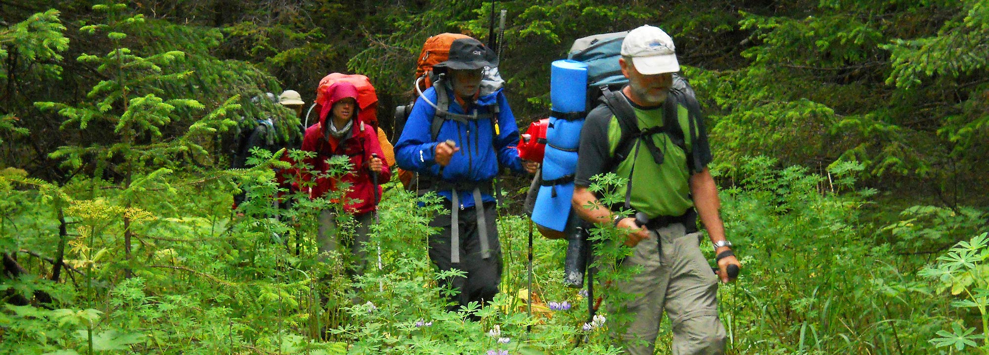 Malaspina Glacier hiking trip Hiking through temperate rainforest, Lost Coast, Alaska