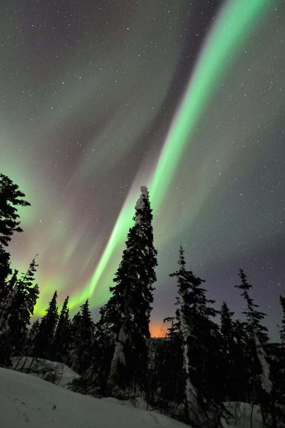 The aurora in the subarctic.