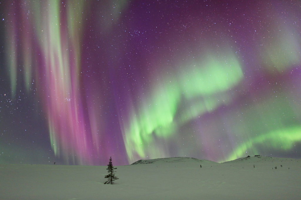 So much purple in this aurora.