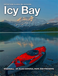 Icy Bay Sea Kayaking Trip free eBook Information Packet