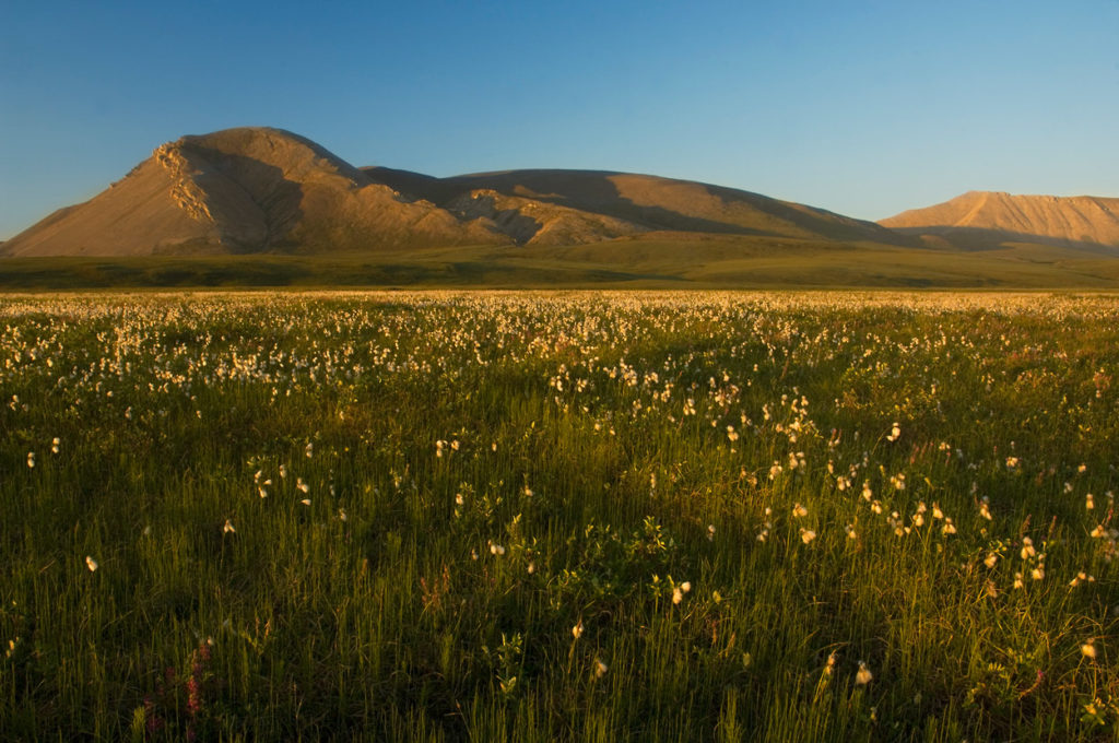 Mt. Copleston, Arctic National Wildlife Refuge, Alaska.