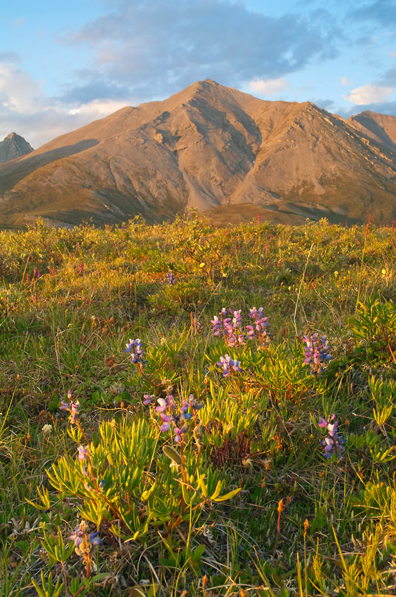 Brooks Range landscape photo ANWR rafting trip, Arctic National Wildlife Refuge, Alaska.