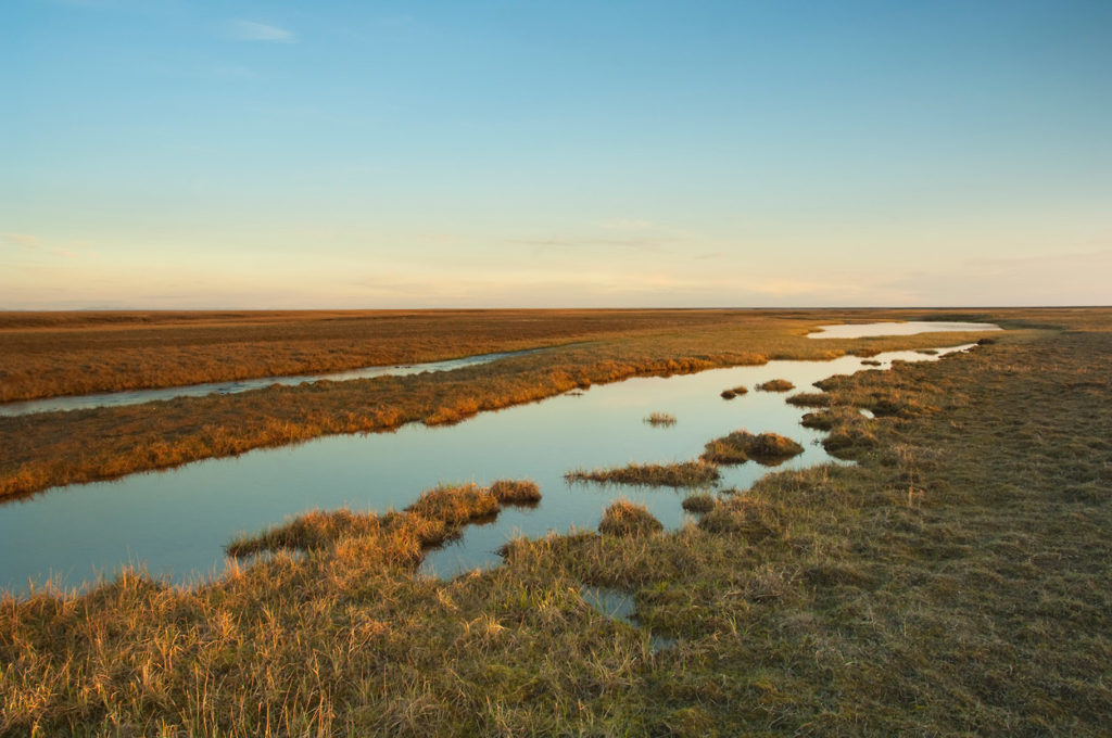 Section 1002, the coastal plain of the Arctic National Wildlife Refuge, ANWR, Alaska.