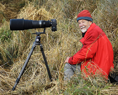 Bob shooting bears