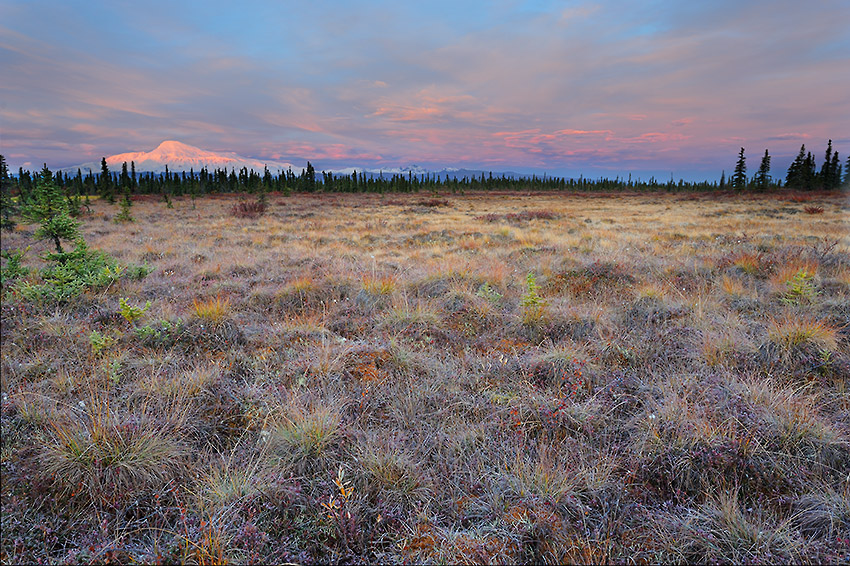 Mt. Sanford dawn alpenglow, Wrangell-St. Elias National Park, Alaska.