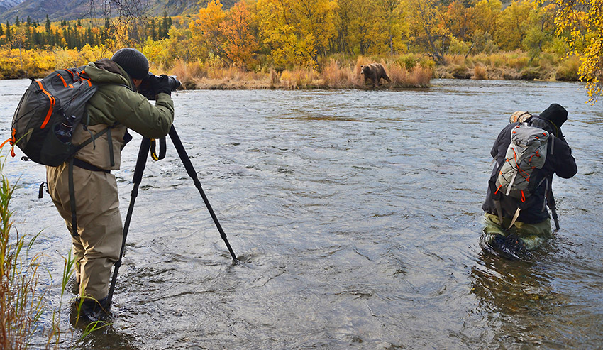 Photographers and bears, Katmai, Alaska.