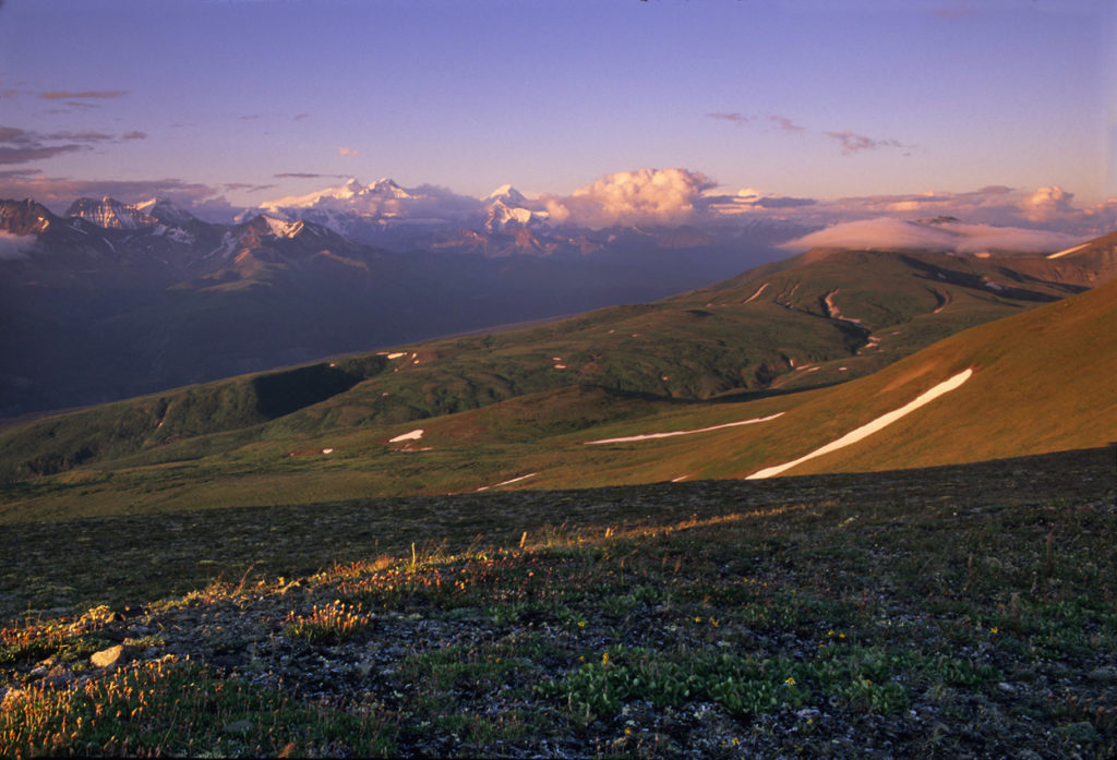 MacColl ridge backpacking trips Wrangell-St. Elias National Park Alaska.