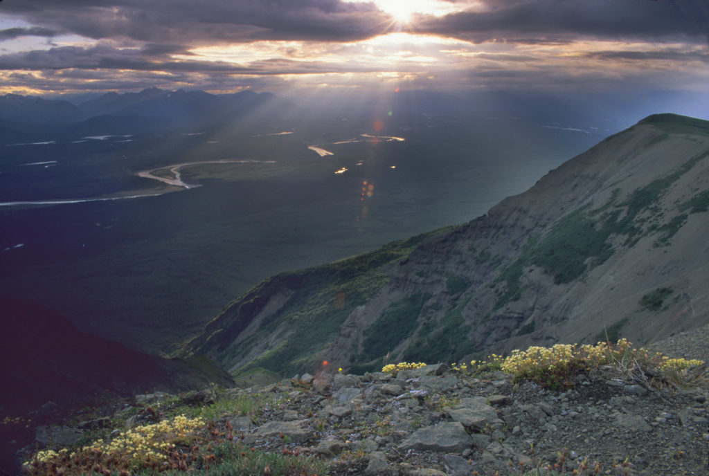 MacColl Ridge camping trips hiking backpacking Wrangell-St. Elias National Park, Alaska.